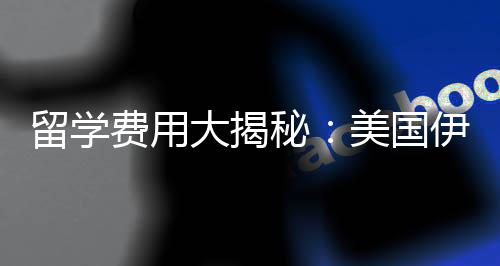 校学哥分芝加诺斯秘美国留学大揭大学伊利少钱费用费多