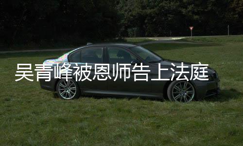 恩师告上吴青判 一持原审胜诉二审维峰被法庭