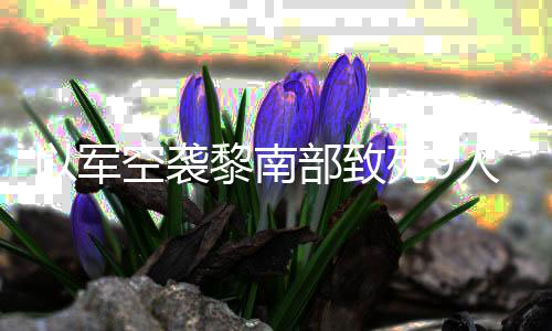 部致人 空袭无人真主黎南党用以军火炮回击机和死9