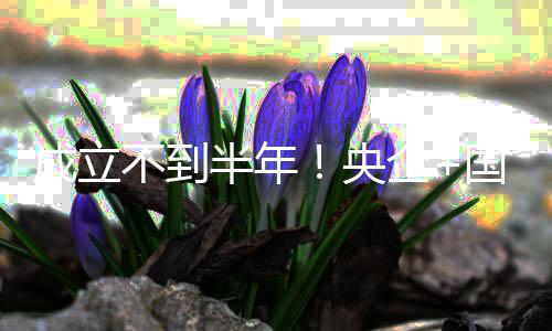不到半年保公让国企股权拟转联手打造央环成立司控企