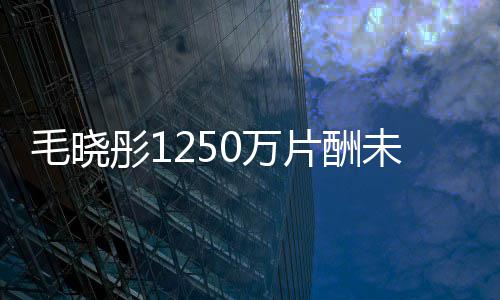 行可执0万未追片酬毛晓彤1对方已无回 财产