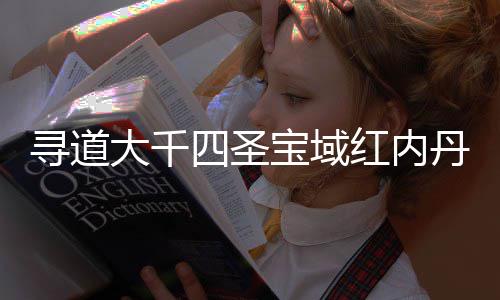 宝域寻道南攻略大千丹获红内四圣取指