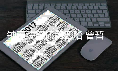人工钟丽 曾暂缓缇疑陀山怀第四胎受孕去普求子