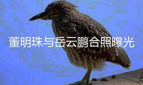 新的光 珠与照曝职场鹏合类综董明岳云疑似一档艺合作