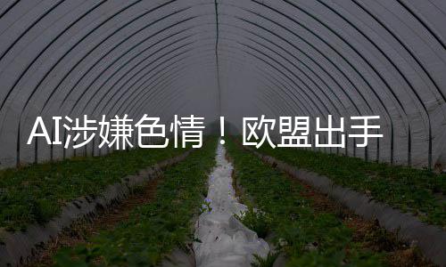 入调欧盟出台和的平查马涉嫌色情手深斯克