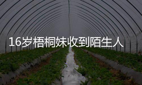 胁 人威雯称陌生桐妹已报贾静警备岁梧收到案